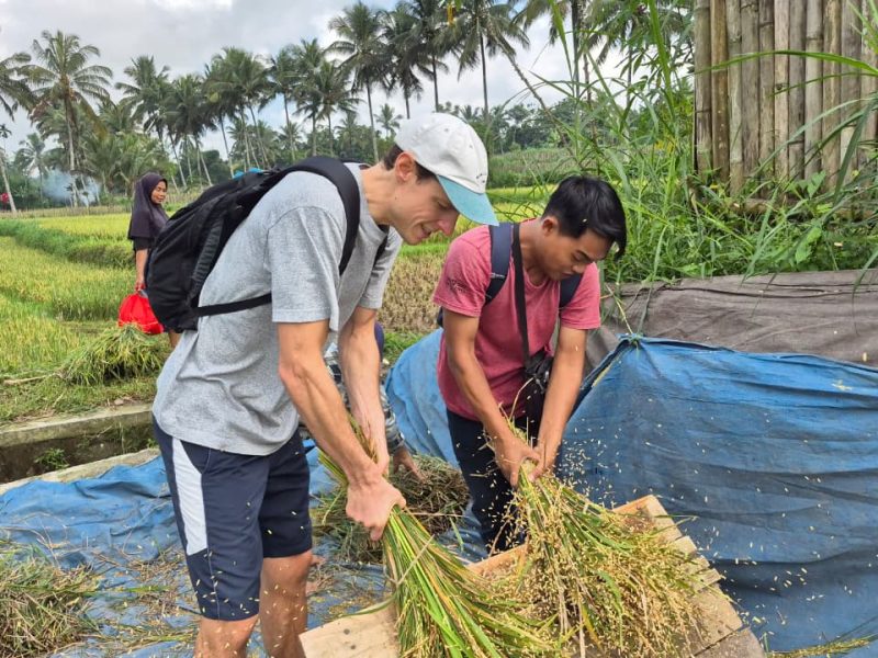 rice fields tour tetebatu (2)